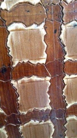 composicion-de-cuadriculos-de-canales-