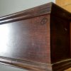 galeria-de-junquillos-