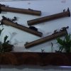 fuente-de-agua-pero-todo-de-madera