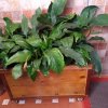 jardineras-de-madera-con-ruedas-para-el-exterior--